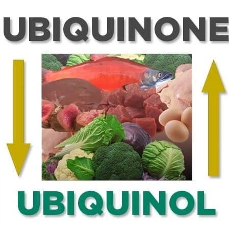 Ubiquinol vs Ubiquinone