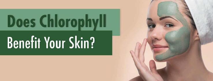 What does chlorophyll do for your skin