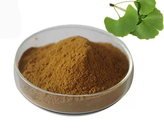 ginkgo biloba powder bulk.jpg
