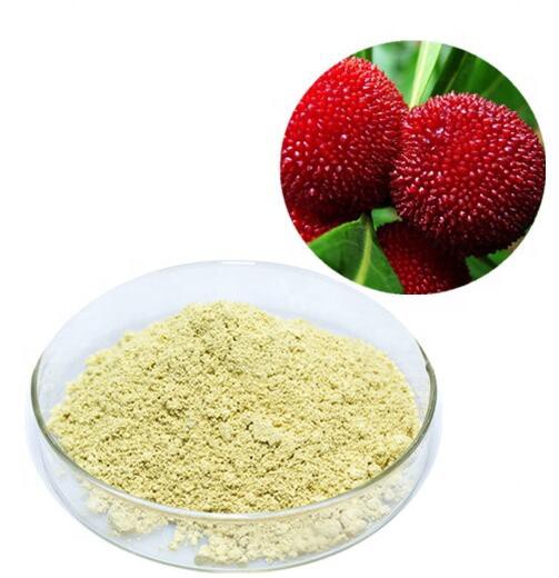 bayberry bark extract