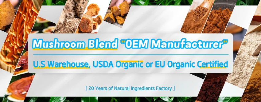 Plant extract manufacturer Plant extract manufacturer