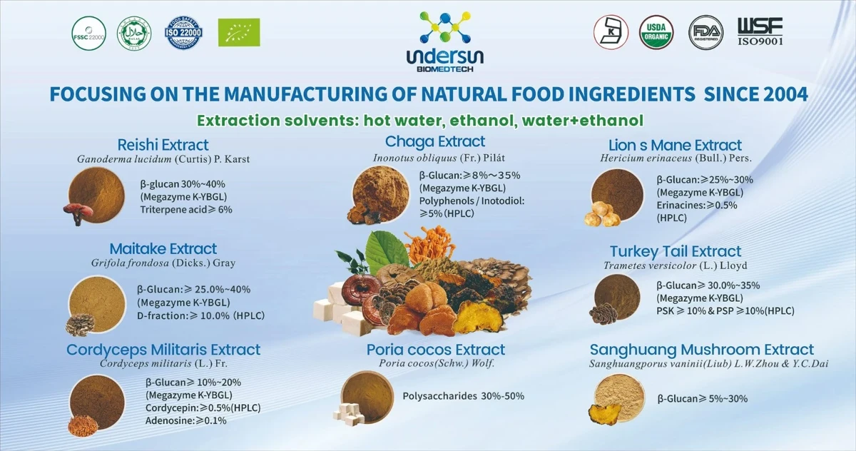 Mushroom Extract Mushroom Extract