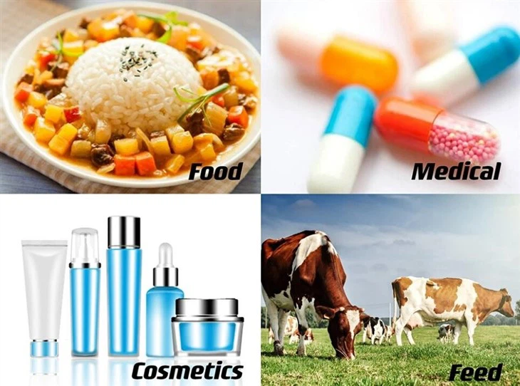 Wheat Germ Extract
