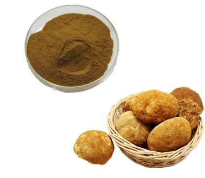 Oroszlán sörény por ömlesztett