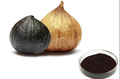 Éves fokhagymakivonat