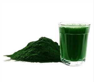 Chlorella Vulgaris por