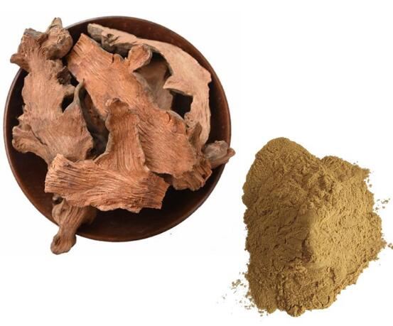 Organikus Sarsaparilla por