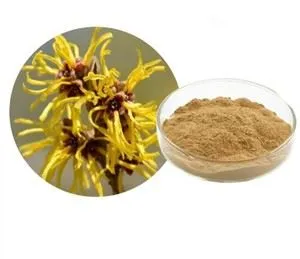 Boszorkánymogyoró kivonat