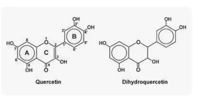 Quercetin vs. Dihidrokvercetin (DHQ)